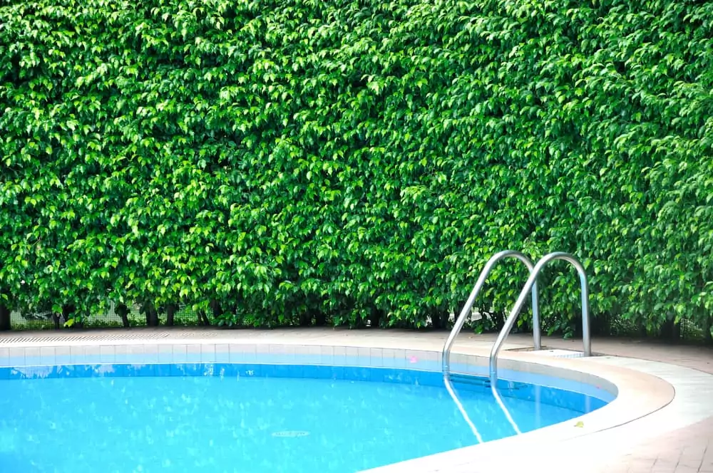 Where can I find versatile swimming pool contractors in Springfield, LA