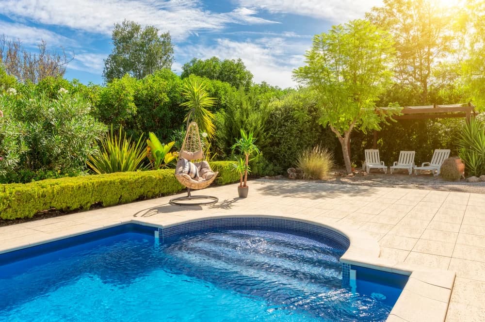 What not to plant around a pool