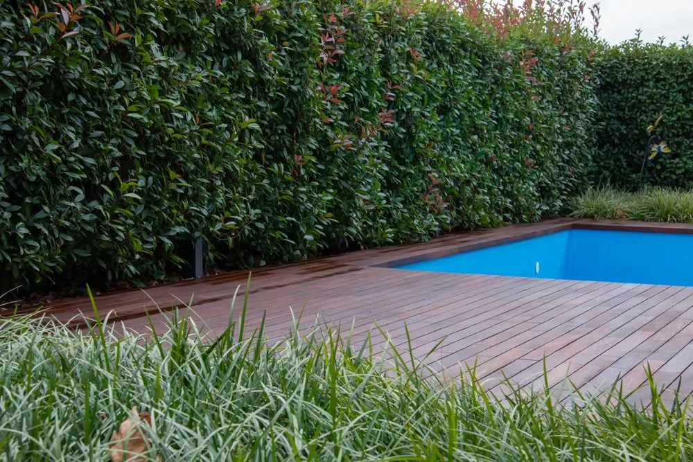 How can a pool design create more privacy without making the yard feel closed off?